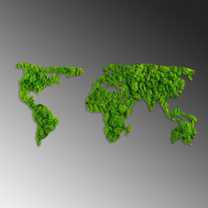 Wallity World Map Escultura de pared Verde